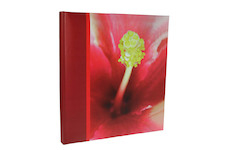 Album Doerr FLOWER 32x29 cm (60 stran)